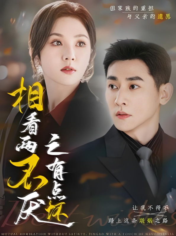 相看两不厌之有点坏(全集)