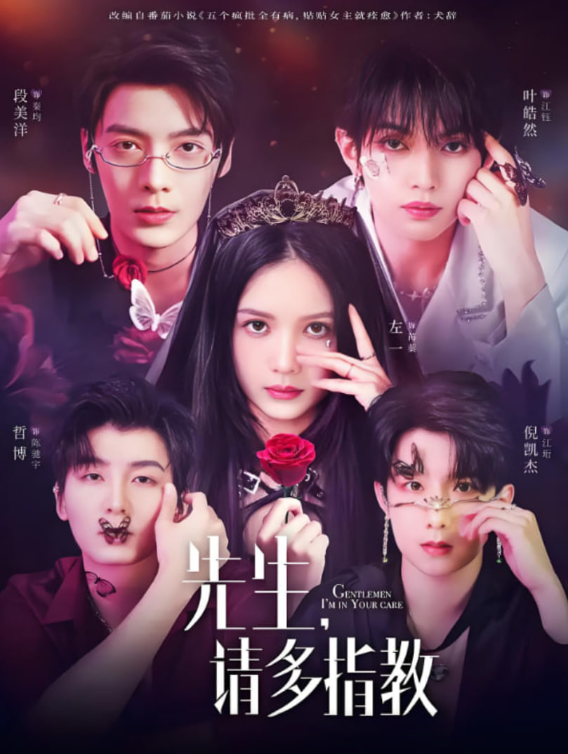 先生请多指教(全集)