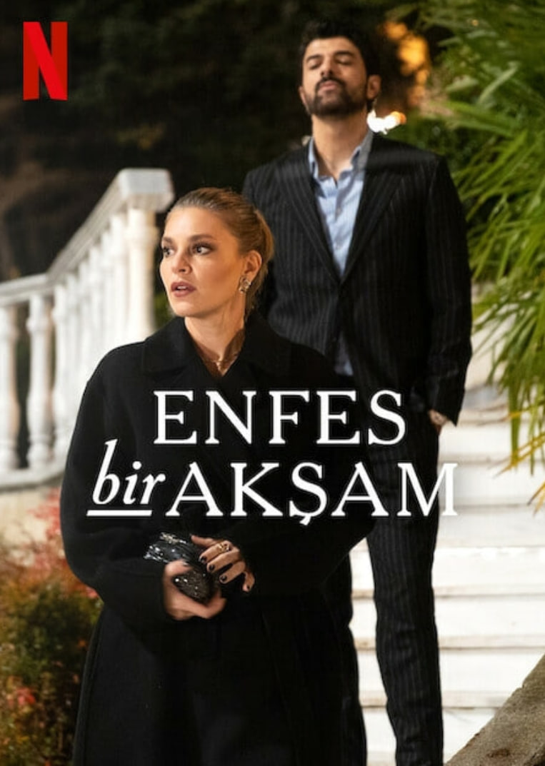 权欲阶梯(全集)