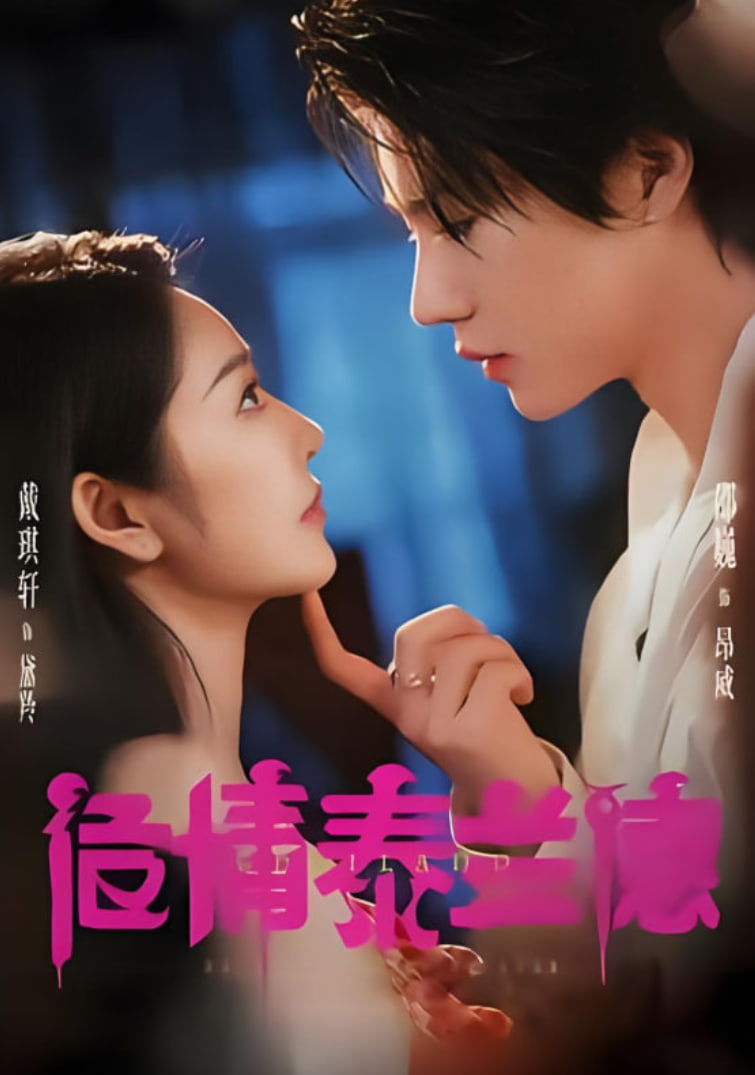 危情泰兰德 2025(全集)