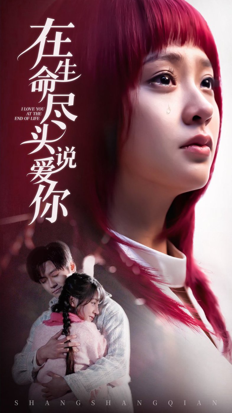 在生命尽头说爱你(全集)