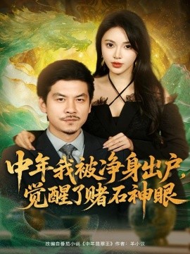 中年我被净身出户，觉醒了赌石神眼(全集)