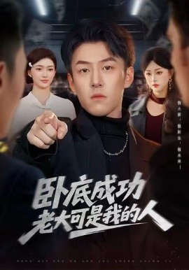 卧底成功老大可是我的人(全集)