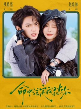 命中注定我怼你(全集)