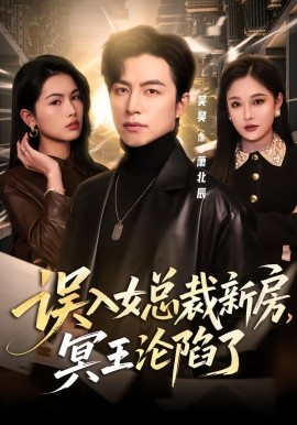 误入女总裁新房，冥王沦陷了(全集)