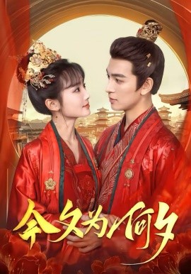 今夕为何夕短剧(全集)